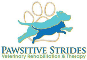Pawsitive Strides Logo